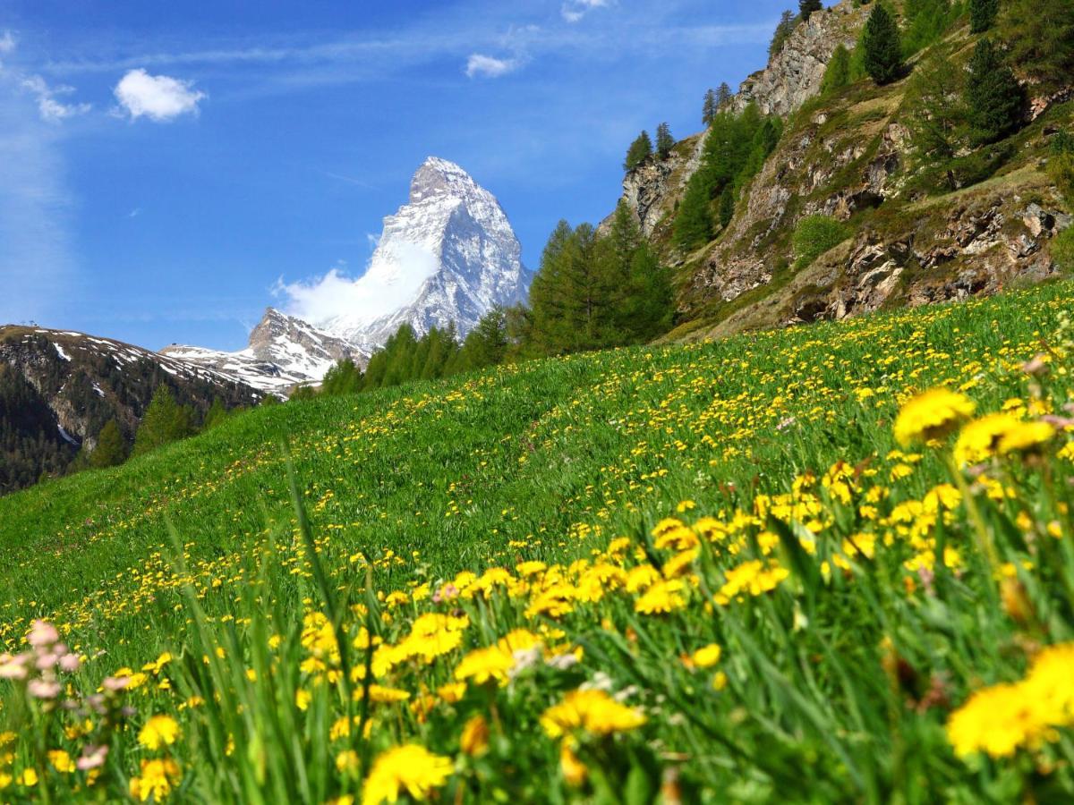 Apartment Fis By Interhome Zermatt Extérieur photo